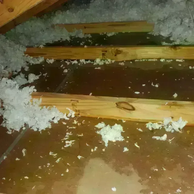 Attic Water Damage in Pelican Bay, FL